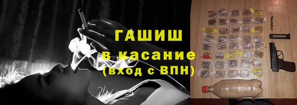 молекула духа Бородино
