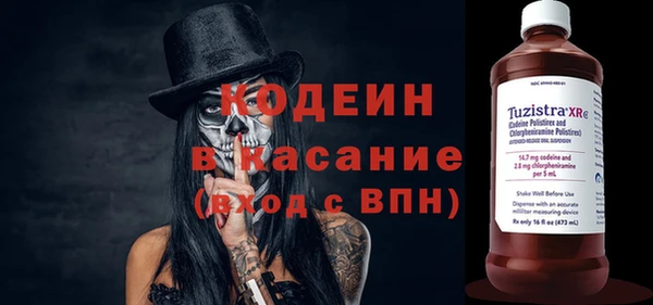 молекула духа Бородино