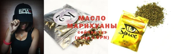 молекула духа Бородино