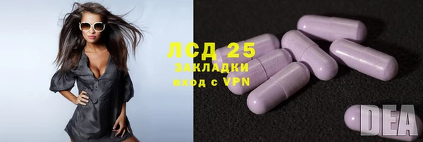 молекула духа Бородино