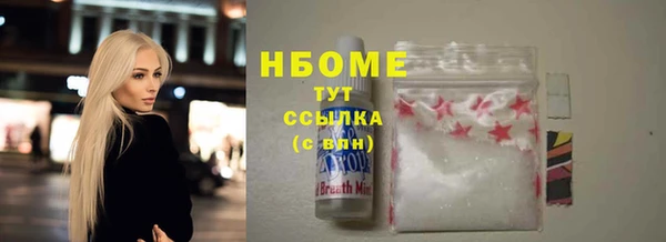 молекула духа Бородино