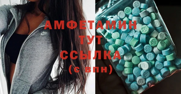 молекула духа Бородино