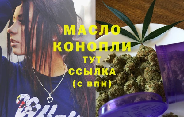 молекула духа Бородино