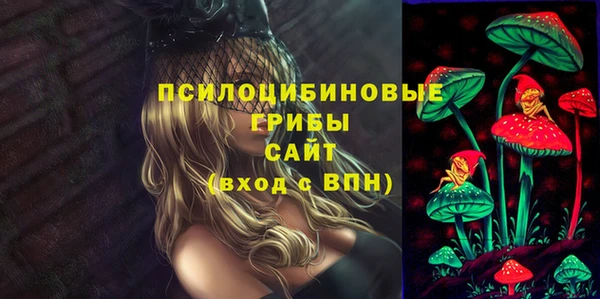 молекула духа Бородино