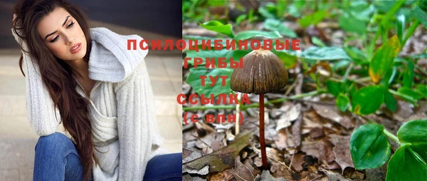 скорость Бронницы