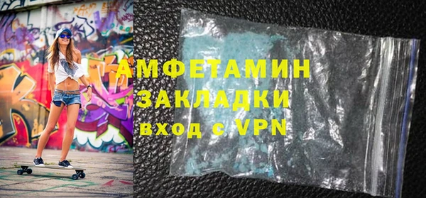 молекула духа Бородино