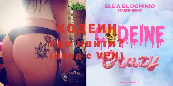 молекула духа Бородино